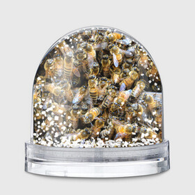 Игрушка Снежный шар с принтом Пчёлы в Белгороде, Пластик | Изображение внутри шара печатается на глянцевой фотобумаге с двух сторон | живность | животное | животные | насекомое | насекомые | пчела | пчёлка | пчёлки | пчёлы