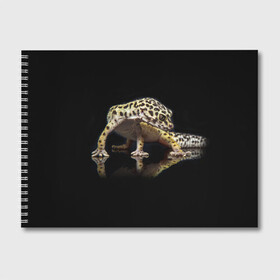 Альбом для рисования с принтом ЭУБЛЕФАР  EUBLEPHARIS в Белгороде, 100% бумага
 | матовая бумага, плотность 200 мг. | Тематика изображения на принте: tegunvteg | геккон | гекон | зублефар | леопардовый геккон | эу | эублефар | ящерица