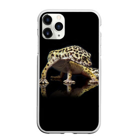 Чехол для iPhone 11 Pro матовый с принтом ЭУБЛЕФАР  EUBLEPHARIS в Белгороде, Силикон |  | tegunvteg | геккон | гекон | зублефар | леопардовый геккон | эу | эублефар | ящерица