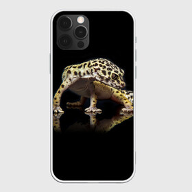 Чехол для iPhone 12 Pro Max с принтом ЭУБЛЕФАР  EUBLEPHARIS в Белгороде, Силикон |  | tegunvteg | геккон | гекон | зублефар | леопардовый геккон | эу | эублефар | ящерица