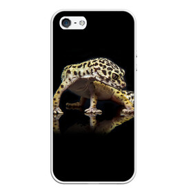 Чехол для iPhone 5/5S матовый с принтом ЭУБЛЕФАР  EUBLEPHARIS в Белгороде, Силикон | Область печати: задняя сторона чехла, без боковых панелей | tegunvteg | геккон | гекон | зублефар | леопардовый геккон | эу | эублефар | ящерица