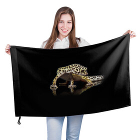 Флаг 3D с принтом ЭУБЛЕФАР  EUBLEPHARIS в Белгороде, 100% полиэстер | плотность ткани — 95 г/м2, размер — 67 х 109 см. Принт наносится с одной стороны | tegunvteg | геккон | гекон | зублефар | леопардовый геккон | эу | эублефар | ящерица