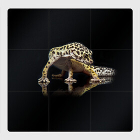 Магнитный плакат 3Х3 с принтом ЭУБЛЕФАР  EUBLEPHARIS в Белгороде, Полимерный материал с магнитным слоем | 9 деталей размером 9*9 см | tegunvteg | геккон | гекон | зублефар | леопардовый геккон | эу | эублефар | ящерица