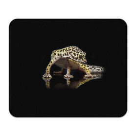 Коврик для мышки прямоугольный с принтом ЭУБЛЕФАР  EUBLEPHARIS в Белгороде, натуральный каучук | размер 230 х 185 мм; запечатка лицевой стороны | tegunvteg | геккон | гекон | зублефар | леопардовый геккон | эу | эублефар | ящерица