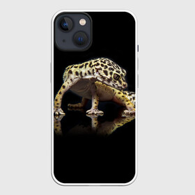 Чехол для iPhone 13 с принтом ЭУБЛЕФАР  EUBLEPHARIS в Белгороде,  |  | tegunvteg | геккон | гекон | зублефар | леопардовый геккон | эу | эублефар | ящерица