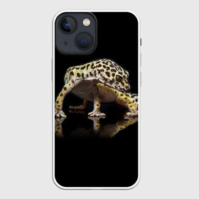 Чехол для iPhone 13 mini с принтом ЭУБЛЕФАР  EUBLEPHARIS в Белгороде,  |  | tegunvteg | геккон | гекон | зублефар | леопардовый геккон | эу | эублефар | ящерица