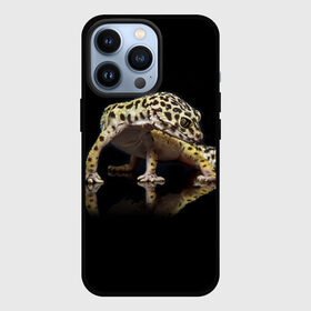 Чехол для iPhone 13 Pro с принтом ЭУБЛЕФАР  EUBLEPHARIS в Белгороде,  |  | tegunvteg | геккон | гекон | зублефар | леопардовый геккон | эу | эублефар | ящерица