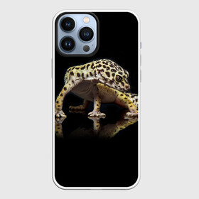 Чехол для iPhone 13 Pro Max с принтом ЭУБЛЕФАР  EUBLEPHARIS в Белгороде,  |  | tegunvteg | геккон | гекон | зублефар | леопардовый геккон | эу | эублефар | ящерица