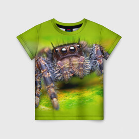 Детская футболка 3D с принтом ПАУК МАКРО в Белгороде, 100% гипоаллергенный полиэфир | прямой крой, круглый вырез горловины, длина до линии бедер, чуть спущенное плечо, ткань немного тянется | tegunvteg | глаза | животные | макро | насекомые | паук | природа