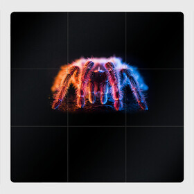 Магнитный плакат 3Х3 с принтом НЕОНОВЫЙ ПАУК  NEON в Белгороде, Полимерный материал с магнитным слоем | 9 деталей размером 9*9 см | tegunvteg | глаза | животные | макро | насекомые | паук | природа