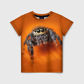 Детская футболка 3D с принтом ПАУК  SPIDER в Белгороде, 100% гипоаллергенный полиэфир | прямой крой, круглый вырез горловины, длина до линии бедер, чуть спущенное плечо, ткань немного тянется | tegunvteg | глаза | животные | макро | насекомые | паук | природа
