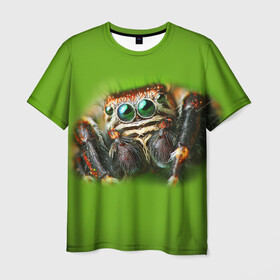 Мужская футболка 3D с принтом ПАУК ВБЛИЗИ в Белгороде, 100% полиэфир | прямой крой, круглый вырез горловины, длина до линии бедер | Тематика изображения на принте: tegunvteg | глаза | животные | макро | насекомые | паук | природа