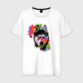 Мужская футболка хлопок с принтом собака с торчащими ушами в Белгороде, 100% хлопок | прямой крой, круглый вырез горловины, длина до линии бедер, слегка спущенное плечо. | Тематика изображения на принте: белый | добрый | красивый | краски | собака | хаски | цвет | цветной | черный