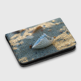 Картхолдер с принтом с принтом Морская ракушка в Белгороде, натуральная матовая кожа | размер 7,3 х 10 см; кардхолдер имеет 4 кармана для карт; | морская | морские | песок | пляж | пляжный | ракушка | ракушки