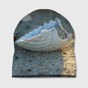Шапка 3D с принтом Морская ракушка в Белгороде, 100% полиэстер | универсальный размер, печать по всей поверхности изделия | морская | морские | песок | пляж | пляжный | ракушка | ракушки