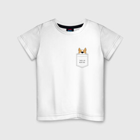 Детская футболка хлопок с принтом Корги в кармане_01 в Белгороде, 100% хлопок | круглый вырез горловины, полуприлегающий силуэт, длина до линии бедер | corgi | dog | вельш корги | карман | корги | коржик | собака