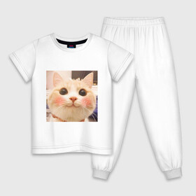 Детская пижама хлопок с принтом Мем про котов в Белгороде, 100% хлопок |  брюки и футболка прямого кроя, без карманов, на брюках мягкая резинка на поясе и по низу штанин
 | Тематика изображения на принте: белый | кот | мем | милый | прикол
