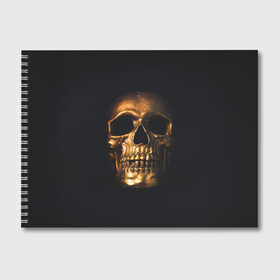Альбом для рисования с принтом Golden Skull в Белгороде, 100% бумага
 | матовая бумага, плотность 200 мг. | Тематика изображения на принте: golden | midas | skull | иллюстрация | черепа