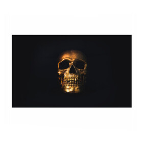 Бумага для упаковки 3D с принтом Golden Skull в Белгороде, пластик и полированная сталь | круглая форма, металлическое крепление в виде кольца | golden | midas | skull | иллюстрация | черепа