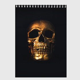 Скетчбук с принтом Golden Skull в Белгороде, 100% бумага
 | 48 листов, плотность листов — 100 г/м2, плотность картонной обложки — 250 г/м2. Листы скреплены сверху удобной пружинной спиралью | Тематика изображения на принте: golden | midas | skull | иллюстрация | черепа