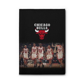 Обложка для автодокументов с принтом CHICAGO BULLS [3] в Белгороде, натуральная кожа |  размер 19,9*13 см; внутри 4 больших “конверта” для документов и один маленький отдел — туда идеально встанут права | basketball | bulls | chicago | chicago bulls | jordan | nba | баскетбол | джордан | нба | чикаго буллз