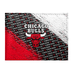 Обложка для студенческого билета с принтом CHICAGO BULLS [6] в Белгороде, натуральная кожа | Размер: 11*8 см; Печать на всей внешней стороне | basketball | bulls | chicago | chicago bulls | jordan | nba | баскетбол | джордан | нба | чикаго буллз