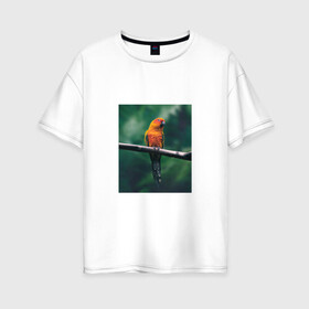 Женская футболка хлопок Oversize с принтом Попугай сидит на ветке в Белгороде, 100% хлопок | свободный крой, круглый ворот, спущенный рукав, длина до линии бедер
 | животные | звери | иллюстрации | попугай | популярные | прикольные | птица | сидит