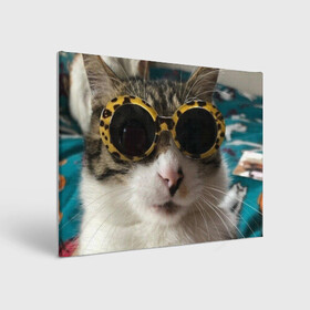 Холст прямоугольный с принтом Мем про кота в Белгороде, 100% ПВХ |  | в очках | киса селфи | кот | мем | милый | прикол