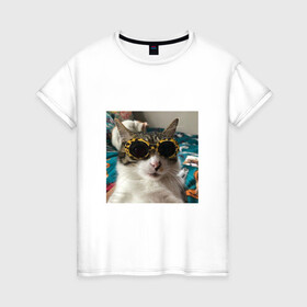 Женская футболка хлопок с принтом Мем про кота в Белгороде, 100% хлопок | прямой крой, круглый вырез горловины, длина до линии бедер, слегка спущенное плечо | в очках | киса селфи | кот | мем | милый | прикол