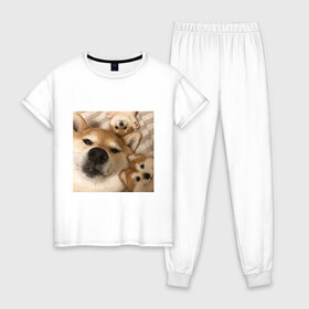Женская пижама хлопок с принтом Мем про собак в Белгороде, 100% хлопок | брюки и футболка прямого кроя, без карманов, на брюках мягкая резинка на поясе и по низу штанин | белый | игрушки мягкие | мем | милый | прикол | сиба ину | собака
