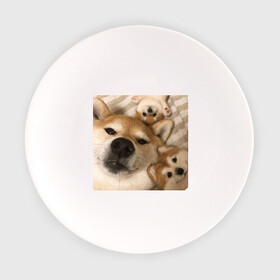 Тарелка с принтом Мем про собак в Белгороде, фарфор | диаметр - 210 мм
диаметр для нанесения принта - 120 мм | белый | игрушки мягкие | мем | милый | прикол | сиба ину | собака