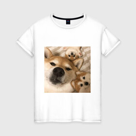 Женская футболка хлопок с принтом Мем про собак в Белгороде, 100% хлопок | прямой крой, круглый вырез горловины, длина до линии бедер, слегка спущенное плечо | белый | игрушки мягкие | мем | милый | прикол | сиба ину | собака