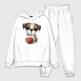 Мужской костюм хлопок OVERSIZE с принтом Бульдог   Баскетбол в Белгороде,  |  | basketball | dog | game | nba | sport | streetball | баскетбол | баскетболист | бульдог | игра | игрок | мяч | нба | пёс | собака | спорт | стритбол | тренер