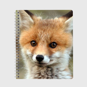 Тетрадь с принтом Миленький лисенок в Белгороде, 100% бумага | 48 листов, плотность листов — 60 г/м2, плотность картонной обложки — 250 г/м2. Листы скреплены сбоку удобной пружинной спиралью. Уголки страниц и обложки скругленные. Цвет линий — светло-серый
 | fox | foxy | животное | звери | лиса | лисенок | лисичка | милая | рыжая | фокс