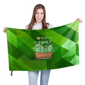 Флаг 3D с принтом Милая семья кактусов в Белгороде, 100% полиэстер | плотность ткани — 95 г/м2, размер — 67 х 109 см. Принт наносится с одной стороны | cactus | кактус | кактусы | милый | растение | цветок