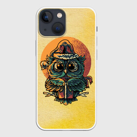 Чехол для iPhone 13 mini с принтом Совушка в Белгороде,  |  | арт | графика | животные | птицы | совы | филины