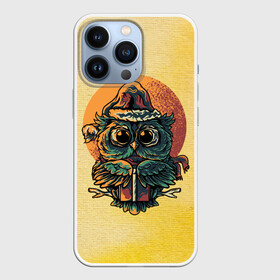 Чехол для iPhone 13 Pro с принтом Совушка в Белгороде,  |  | арт | графика | животные | птицы | совы | филины