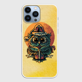 Чехол для iPhone 13 Pro Max с принтом Совушка в Белгороде,  |  | арт | графика | животные | птицы | совы | филины