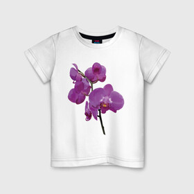 Детская футболка хлопок с принтом Цветущая орхидея в Белгороде, 100% хлопок | круглый вырез горловины, полуприлегающий силуэт, длина до линии бедер | Тематика изображения на принте: phalaenopsis | женственный | красивые цветы | нежные цветы | орхидея | фаленопсис | цветочное настроение | цветы