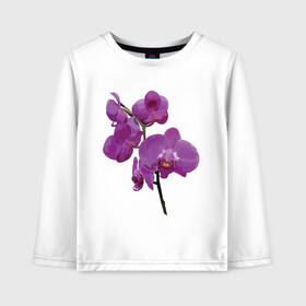 Детский лонгслив хлопок с принтом Цветущая орхидея в Белгороде, 100% хлопок | круглый вырез горловины, полуприлегающий силуэт, длина до линии бедер | Тематика изображения на принте: phalaenopsis | женственный | красивые цветы | нежные цветы | орхидея | фаленопсис | цветочное настроение | цветы