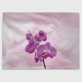Плед 3D с принтом Нежная орхидея в Белгороде, 100% полиэстер | закругленные углы, все края обработаны. Ткань не мнется и не растягивается | blossom | nature | orchid | женственность | красивые цветы | орхидеи | орхидея | фаленопсис