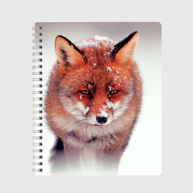 Тетрадь с принтом Лисица и снег в Белгороде, 100% бумага | 48 листов, плотность листов — 60 г/м2, плотность картонной обложки — 250 г/м2. Листы скреплены сбоку удобной пружинной спиралью. Уголки страниц и обложки скругленные. Цвет линий — светло-серый
 | fox | foxy | животное | звери | лиса | лисенок | лисичка | милая | рыжая | фокс