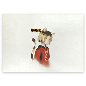 Поздравительная открытка с принтом Кенма Козуме Haikyuu!! в Белгороде, 100% бумага | плотность бумаги 280 г/м2, матовая, на обратной стороне линовка и место для марки
 | Тематика изображения на принте: anime | haikyu | haikyuu | kozume kenma | manga | nekoma high | аниме | волейбол | волейбольный клуб | кодзукен | коты | кошки | кянма | манга | мозг | пудингоголовый | старшая некома | старшая школа | хаику | хаикую