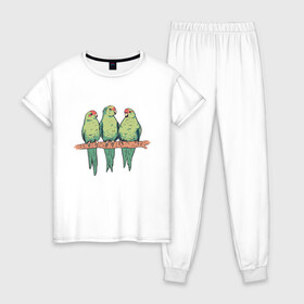 Женская пижама хлопок с принтом Попугайчики на ветке в Белгороде, 100% хлопок | брюки и футболка прямого кроя, без карманов, на брюках мягкая резинка на поясе и по низу штанин | Тематика изображения на принте: art | nature | on a branch | parrot | parrots | red crowned parakeets | арт | ветка | иллюстрация | краснолобый прыгающий попугай | милые попугаи | попуг | попугаевые | попугай | попугчик | принт с попугаями | природа