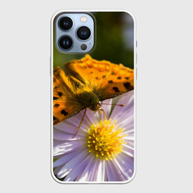 Чехол для iPhone 13 Pro Max с принтом Бабочка и ромашка в Белгороде,  |  | бабочка | макро | насекомые | ромашка | цветы