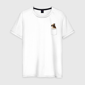 Мужская футболка хлопок с принтом PocketPuppy#3 в Белгороде, 100% хлопок | прямой крой, круглый вырез горловины, длина до линии бедер, слегка спущенное плечо. | cute | dog | puppy | карман | милый | мопс | собака | щенок