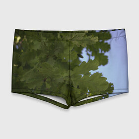 Мужские купальные плавки 3D с принтом Летние дубы в Белгороде, Полиэстер 85%, Спандекс 15% |  | Тематика изображения на принте: дубы | лето | листва | природа
