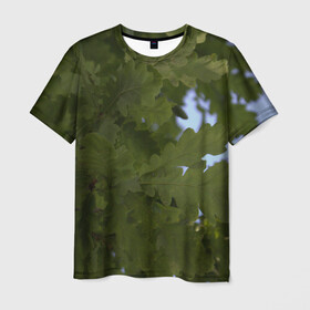 Мужская футболка 3D с принтом Летние дубы в Белгороде, 100% полиэфир | прямой крой, круглый вырез горловины, длина до линии бедер | Тематика изображения на принте: дубы | лето | листва | природа