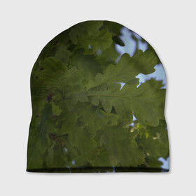 Шапка 3D с принтом Летние дубы в Белгороде, 100% полиэстер | универсальный размер, печать по всей поверхности изделия | Тематика изображения на принте: дубы | лето | листва | природа
