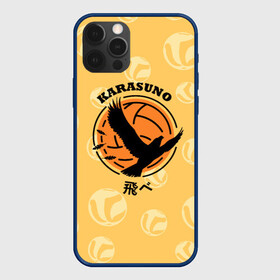 Чехол для iPhone 12 Pro Max с принтом Старшая школа Карасуно Haikyu! в Белгороде, Силикон |  | anime | haikyu | haikyuu | karasuno | karasuno high | manga | аниме | волейбол | волейбольный клуб | ворон | вороны | карасуно | крылья | лого | логотип | манга | надпись | птица | старшая школа | хаику | хаикую